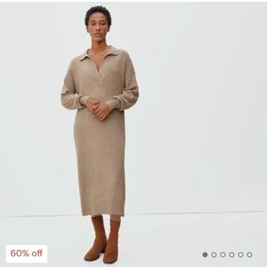 Everlane The Cashmere Polo Dress